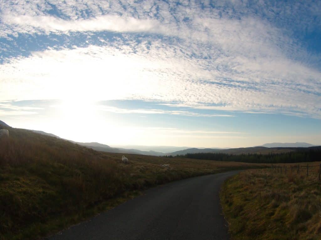 Devilishly Elegant SR600 5