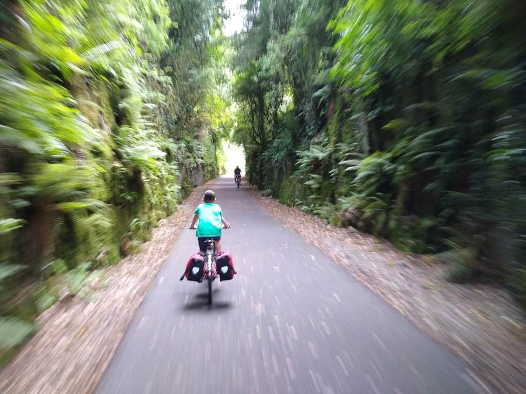 MizMal: To the start?! 23