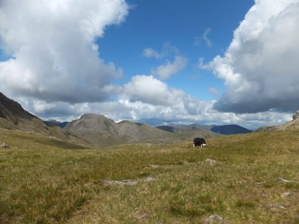 3 of 5 - Scafell Pike 15