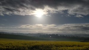 Big Gert Brevet 1600 69