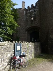 Devilishly Elegant SR600 67