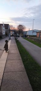 Wyches & Wizards 120 7