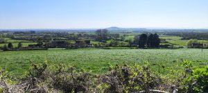 Barry's Bristol Butt Buster 200 19