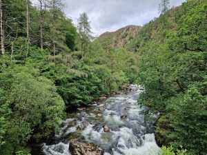 North Somerset Wander 100 9