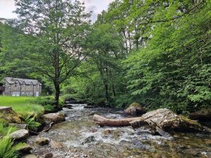 North Somerset Wander 100 7