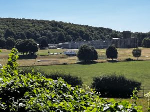 North Somerset Wander 100 21