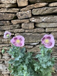 Jerry's South Glos 100 8