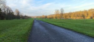 The Wookies & Chewie 100 8